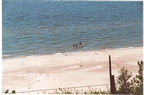 View from the Cottage