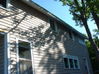and the upper part of the side