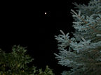The moon makes its appearance