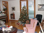 The Christmas tree