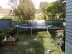 Martin's trampoline